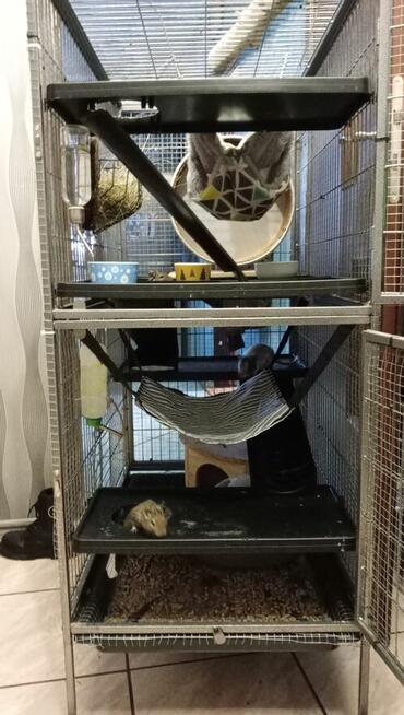 Woliera130x80cm z całym wyposażeniem