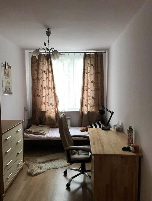 Mieszkanie na wynajem 2 pokoje