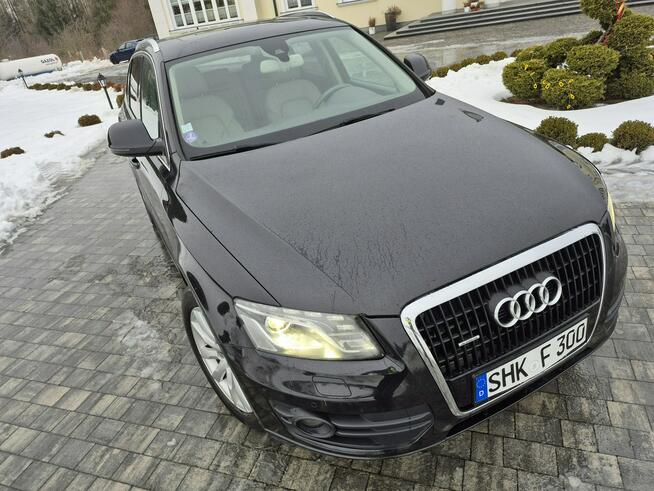 Audi Q5 xenon led navi chromy KAMERA ładny HYBRYDA quattro