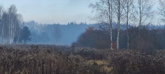Działka budowlana Zawodne gm. Prażmów, Krańcowa
