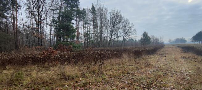 Działka budowlana Zawodne gm. Prażmów, Krańcowa