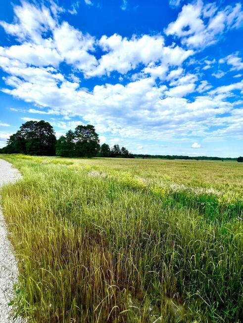 Działka rolna Kotorydz gm. Tarczyn