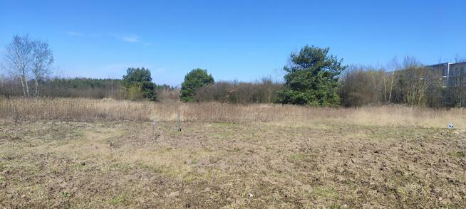 Działka budowlana Tarczyn