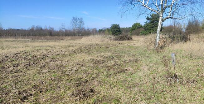 Działka budowlana Tarczyn