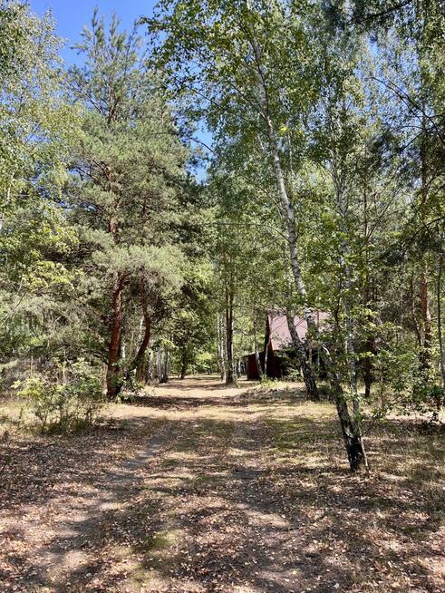 Działka rolna Zadębie gm. Prażmów