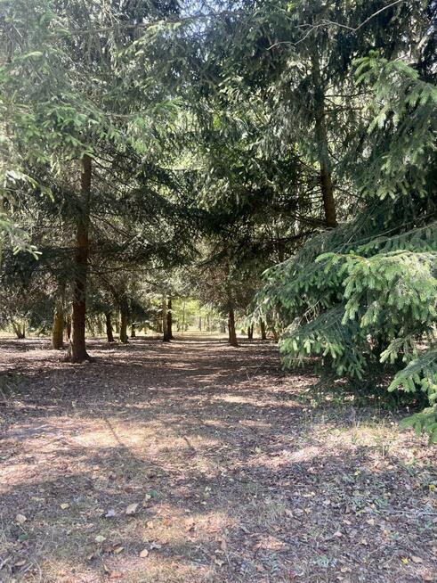 Działka rolna Zadębie gm. Prażmów