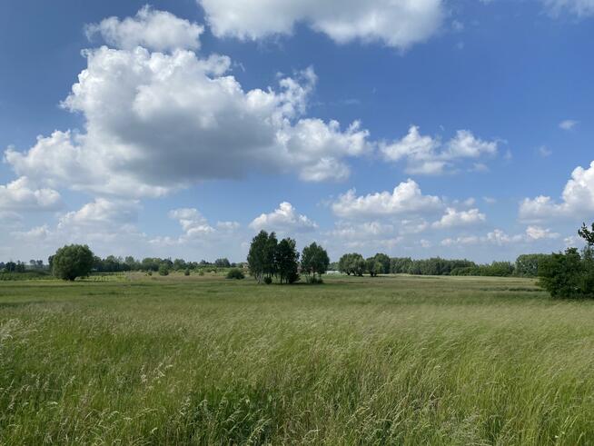 Działka siedliskowa Wola Wągrodzka gm. Prażmów