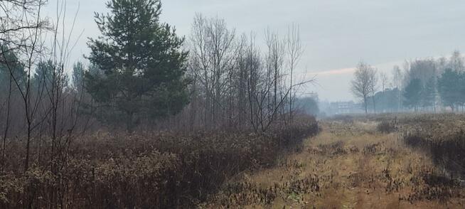 Działka Zawodne gm. Prażmów