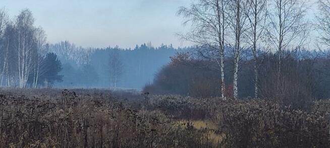 Działka Zawodne gm. Prażmów