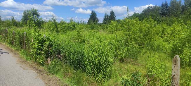 Działka budowlana Tarczyn