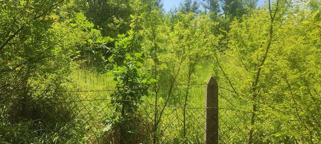 Działka budowlana Tarczyn