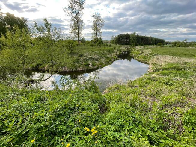 Dom Orło gm. Małkinia Górna