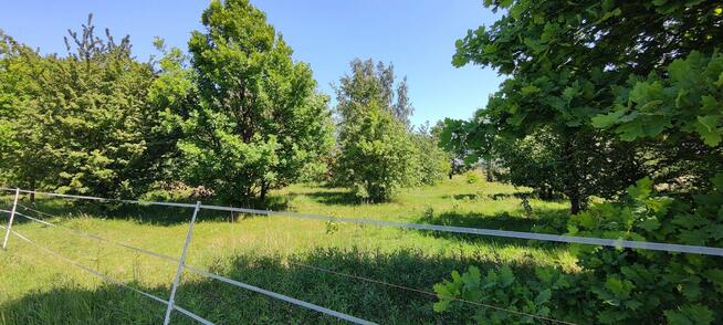 Działka Mała Wieś przy Drodze gm. Leoncin