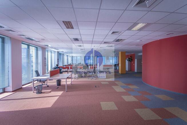 Lokal użytkowy Warszawa Mokotów, Domaniewska