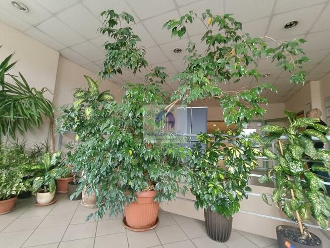 Lokal użytkowy Warszawa Praga-Północ, rondo Stefana Starzyńskiego