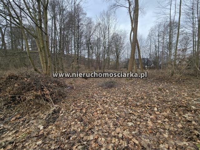 Działka budowlana Wodzisław Śląski