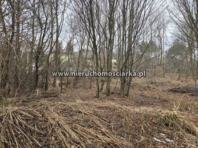 Działka budowlana Wodzisław Śląski