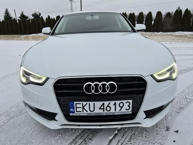 Audi A5 2,0tdi Serwis!!! Navigacja.Skóry.Tempomat.Xenony.Ledy.Alu.kredyt!