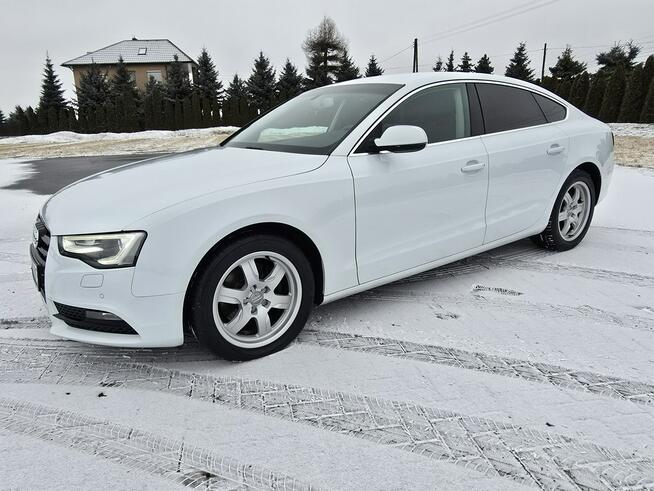 Audi A5 2,0tdi Serwis!!! Navigacja.Skóry.Tempomat.Xenony.Ledy.Alu.kredyt!