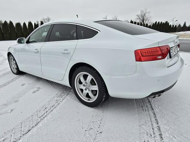Audi A5 2,0tdi Serwis!!! Navigacja.Skóry.Tempomat.Xenony.Ledy.Alu.kredyt!