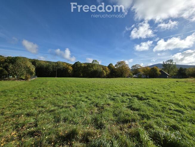 Działka budowlano-usługowa w Rzykach!
