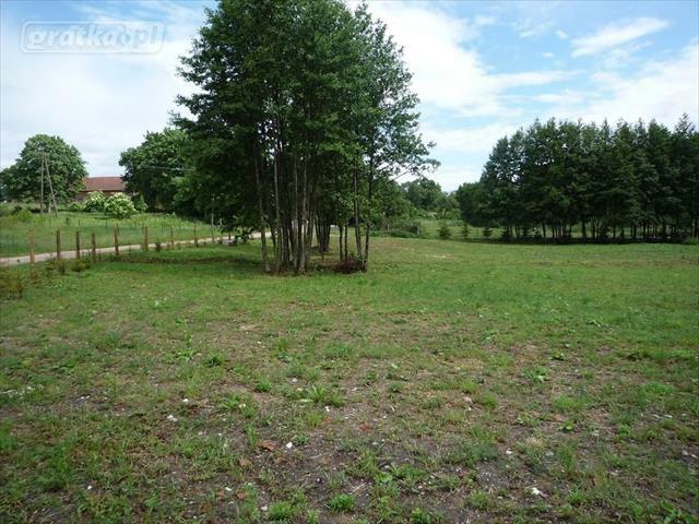 Działka budowlana Szarejki gm. Kowale Oleckie