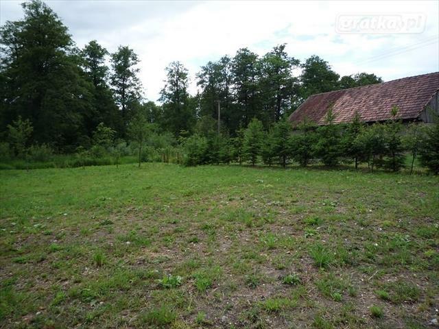 Działka budowlana Szarejki gm. Kowale Oleckie
