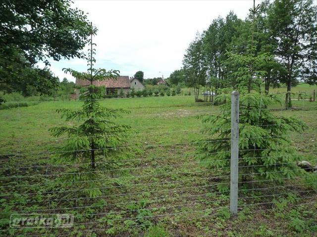 Działka budowlana Szarejki gm. Kowale Oleckie