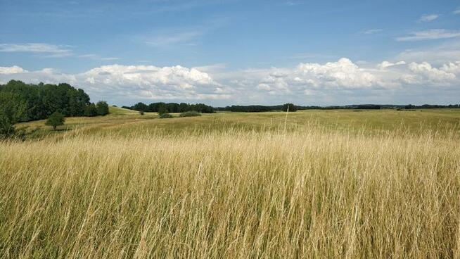 Działka budowlana Rydzewo gm. Miłki, Brzozowa