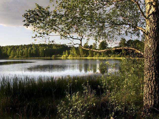 Dom Wałdowo gm. Miastko