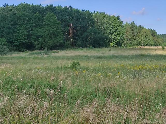 Działka rolno-budowlana Pilec gm. Reszel