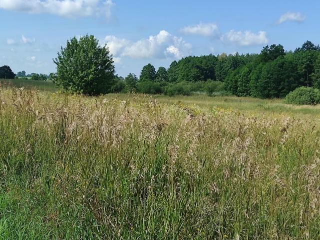 Działka rolno-budowlana Pilec gm. Reszel