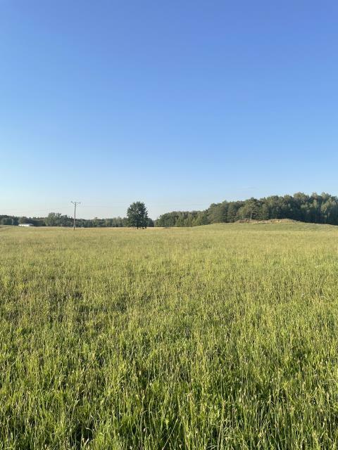 Działka budowlana Ławki gm. Ryn