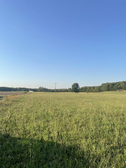 Działka budowlana Ławki gm. Ryn