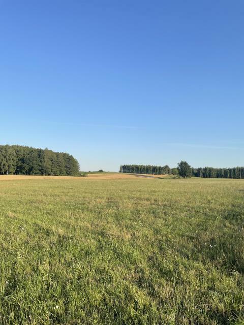 Działka budowlana Ławki gm. Ryn