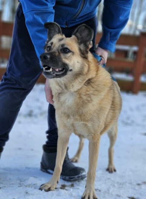 HANIA gotowa i nie waha się – tylko Twój dom wybrać chce