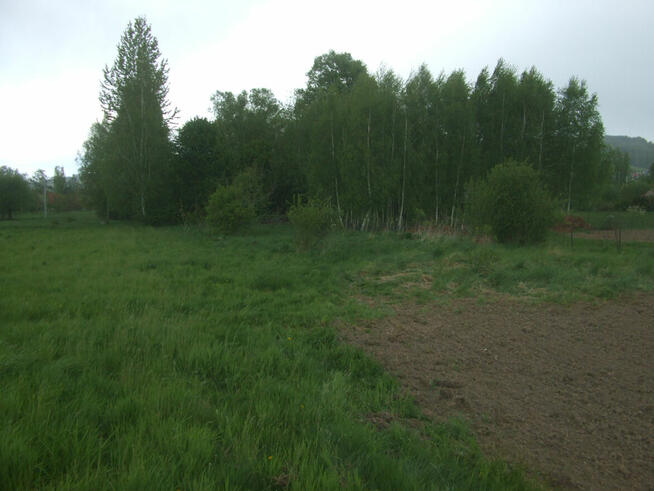 działka budowlana Tyczyn Zagrody