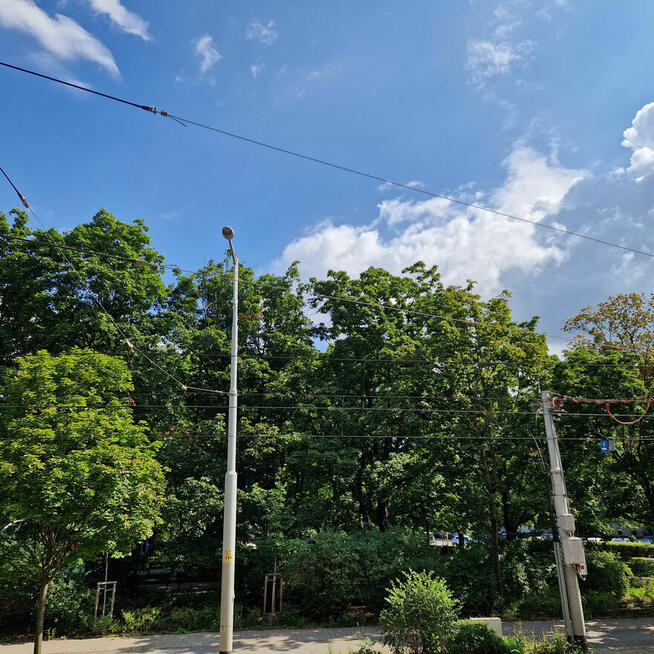 DO WYNAJĘCIA – DUŻY POKÓJ 25 m² Z BALKONEM | PLAC GRUNWALDZK