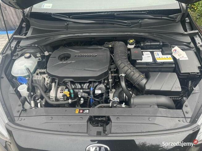 Kia ProCeed GT 204 KM | Bogate wyposażenie | Niski przebieg
