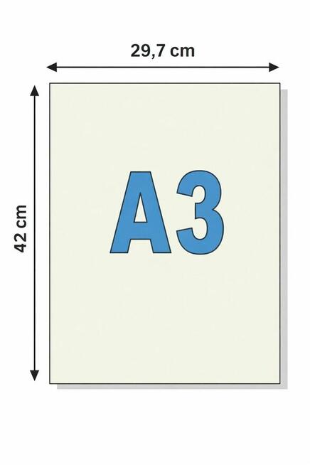 Plakat A3 Pranie vintage style