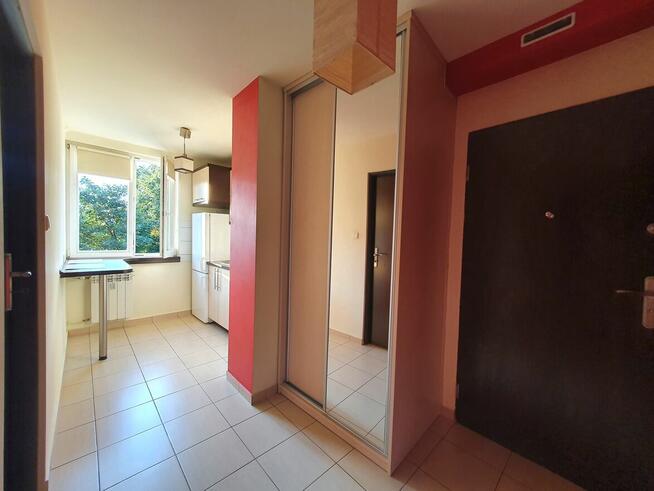 Mieszkanie do wynajęcia 2 pokoje