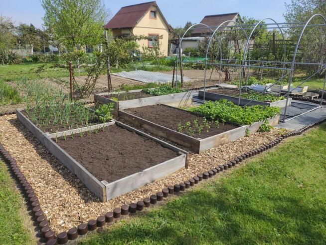 Sprzedam dzialkę na R.O.D Sahara w Lubinie