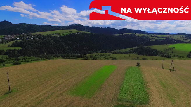 Działka w Grywałdzie; 1,1003 ha; warunki zabudowy
