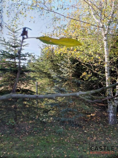 Działka budowlana Żabikowo,
