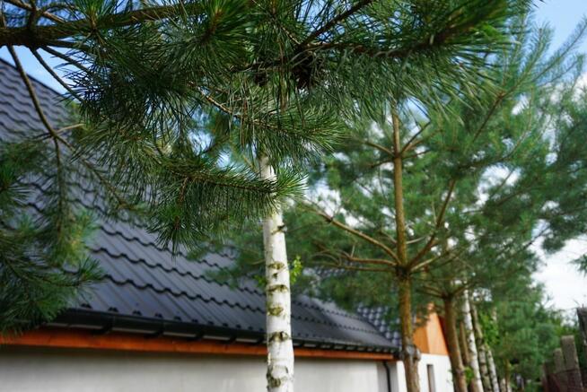 Dom Głodowo gm. Golina,