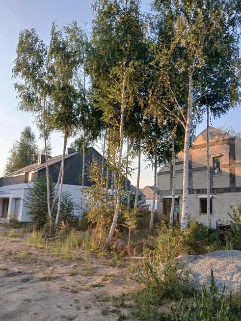 Dom Kiekrz gm. Rokietnica, Bojerowa