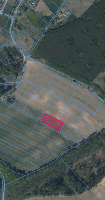 Działka rolna Ostrowite gm. Dąbrówno,