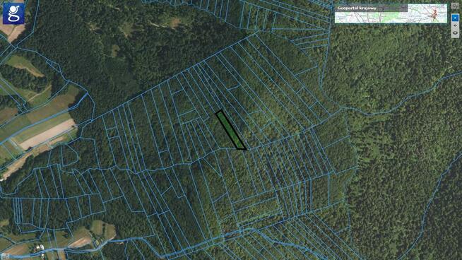 Działka leśna Czermna gm. Szerzyny