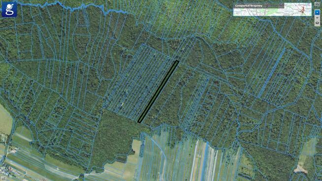 Działka leśna Toki gm. Nowy Żmigród