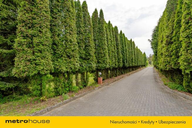 Trzy domy mieszkalne w pięknej lokalizacji